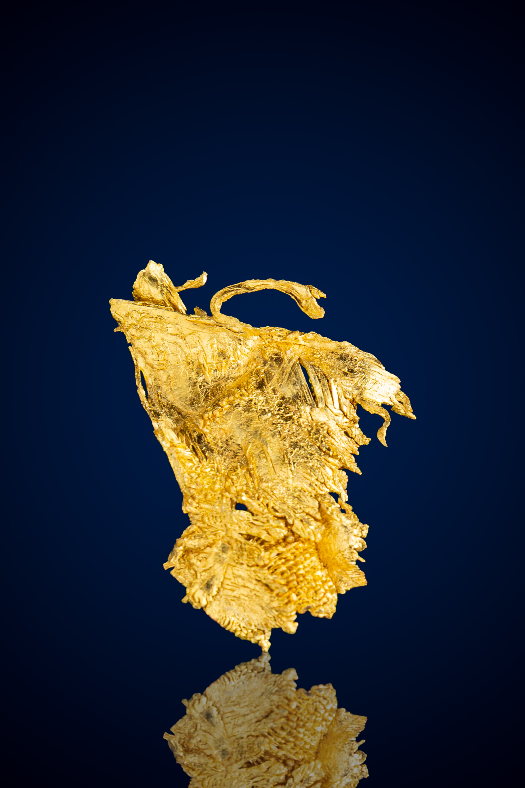 Bright, Branching Crystallized Gold Nugget - Round Mountain, NV - 0.83 grams (image for) Bright, Branching Crystallized Gold Nugget - Round Mountain, NV - 0.83 grams